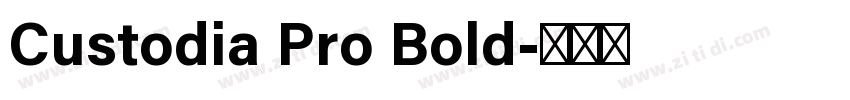 Custodia Pro Bold字体转换